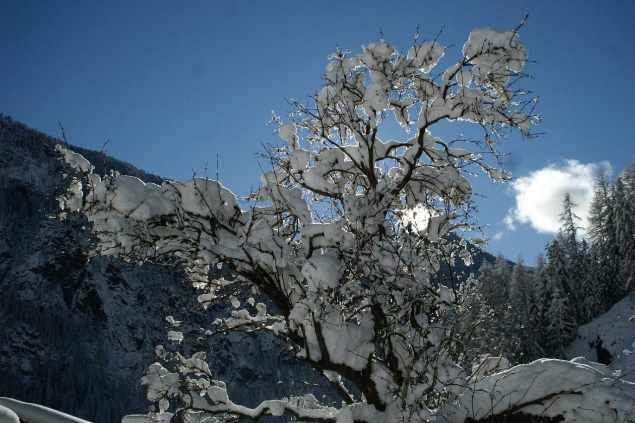 Apartmán Des Alpes 2 Canazei Exteriér fotografie